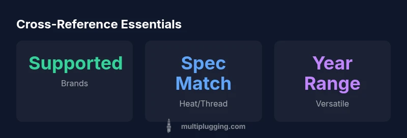 infographic showing cross-reference concepts between Champion and other brands
