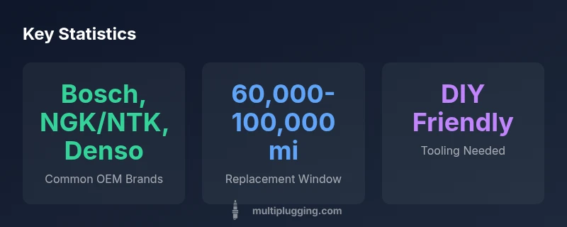 Infographic showing common spark plug brands for Mercedes and typical replacement window