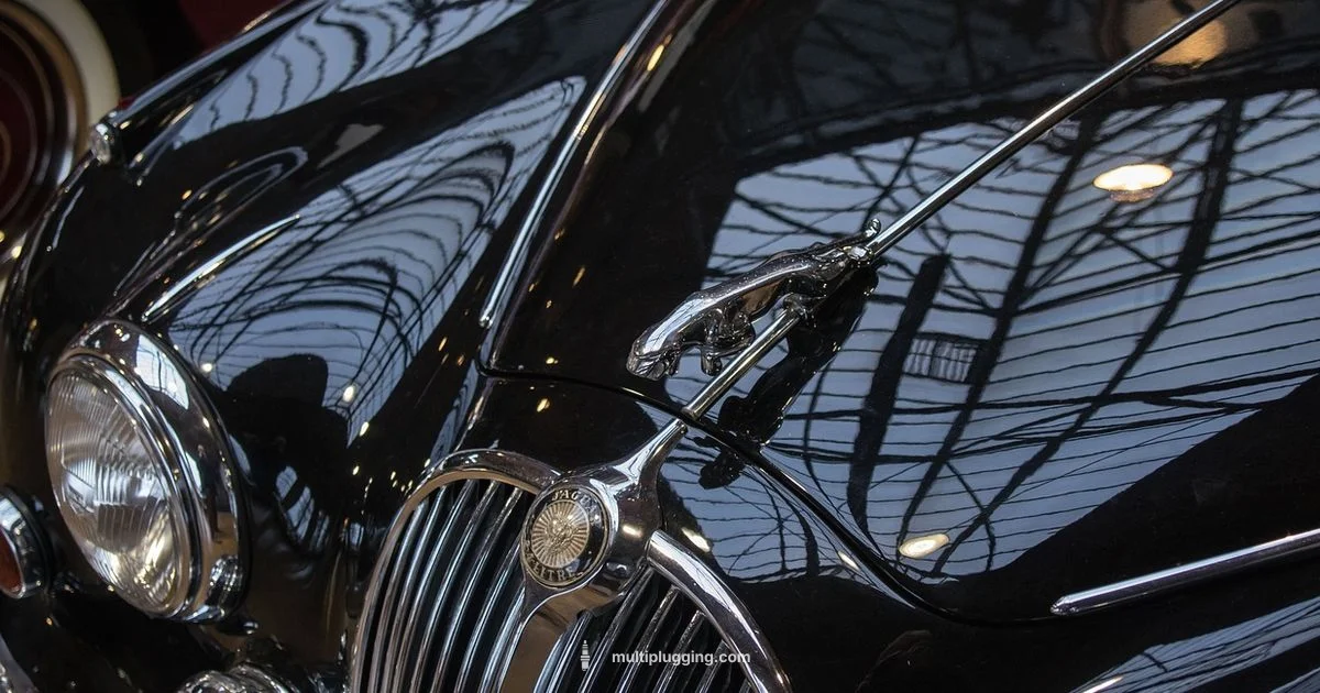 Spark Plug Check - MultiPlugging