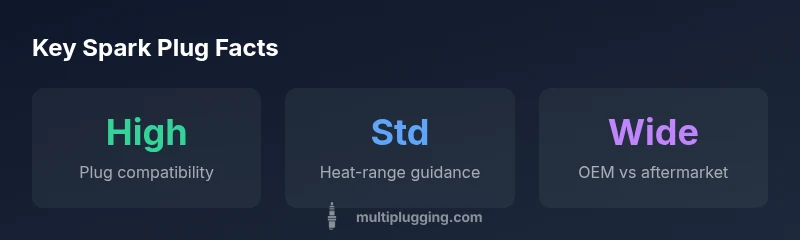Infographic showing spark plug types and replacement steps for Echo weed eaters