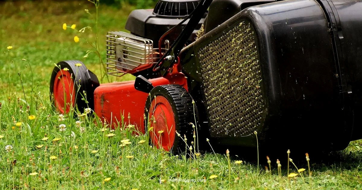 Lawn Plug Guide Lawn Plug Guide - MultiPlugging