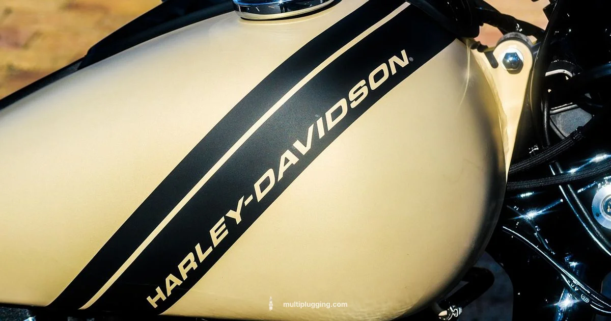 Harley Spark Plug OEMs - MultiPlugging