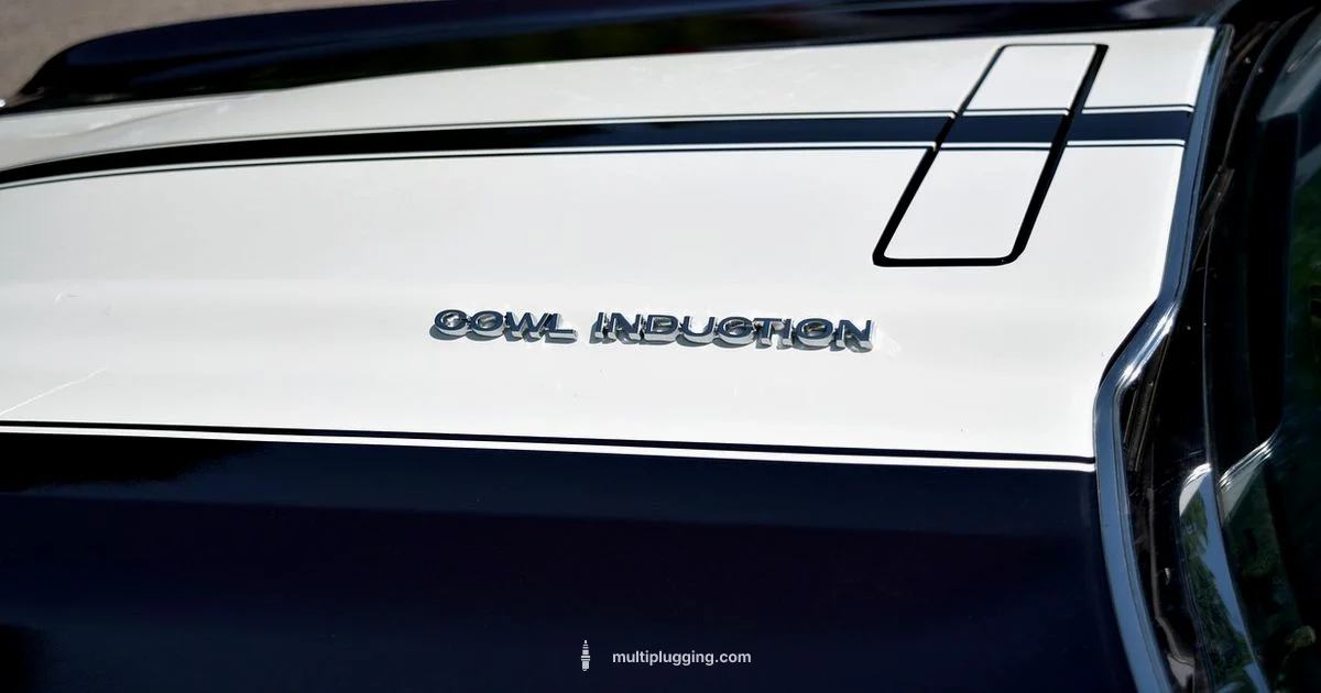 NGK for Chevy Guide NGK for Chevy Guide - MultiPlugging