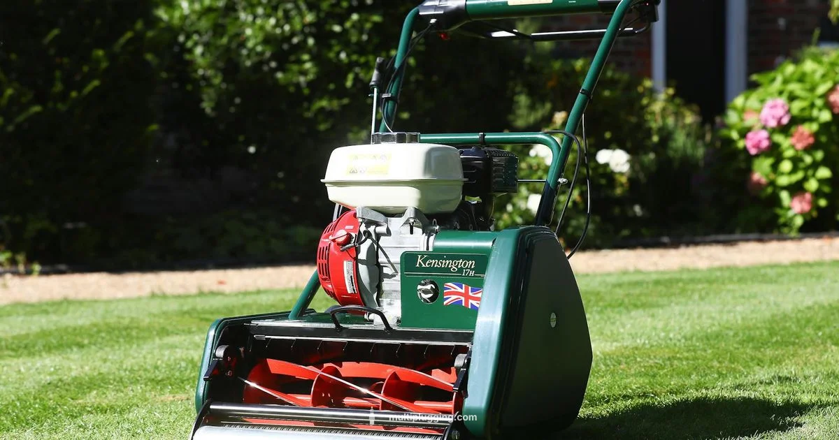 Honda Mower Spark Gap Honda Mower Spark Gap - MultiPlugging