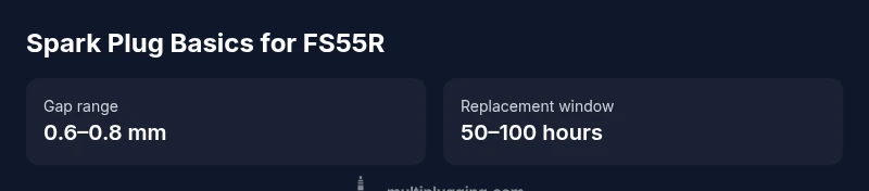 Infographic showing FS55R spark plug gap and replacement interval