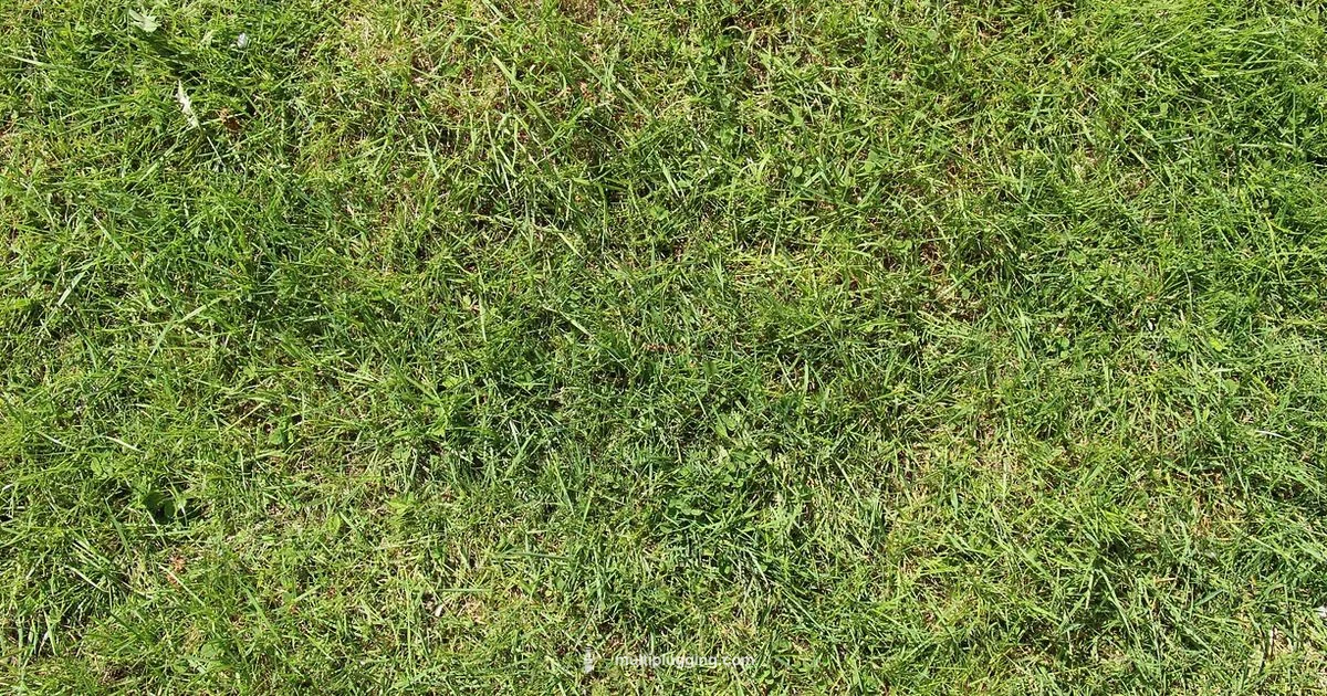 Spark Plug Guide - MultiPlugging