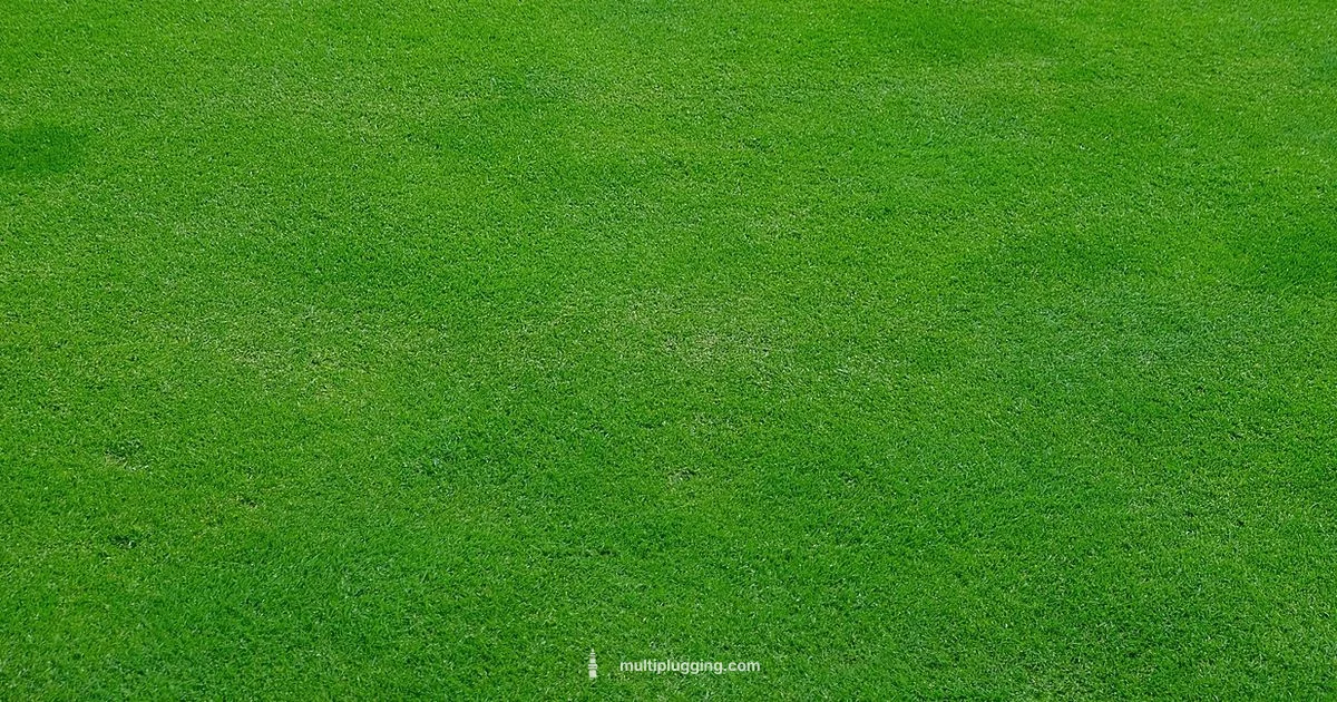 Spark Plug Troubleshooting - MultiPlugging