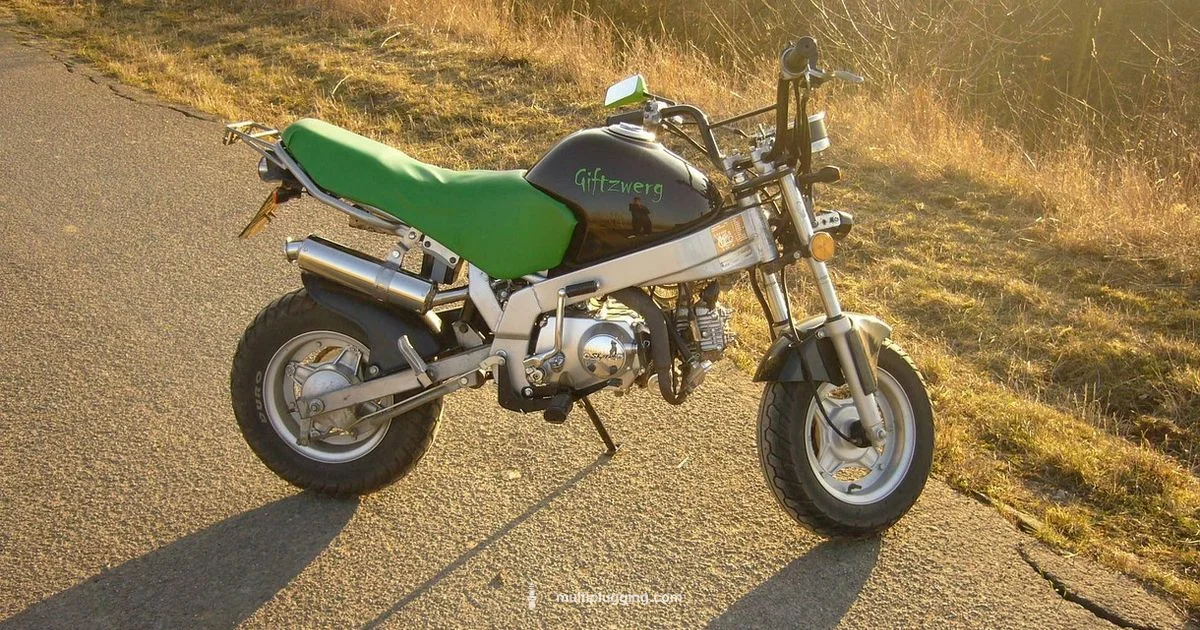 2 Stroke Spark Plug - MultiPlugging