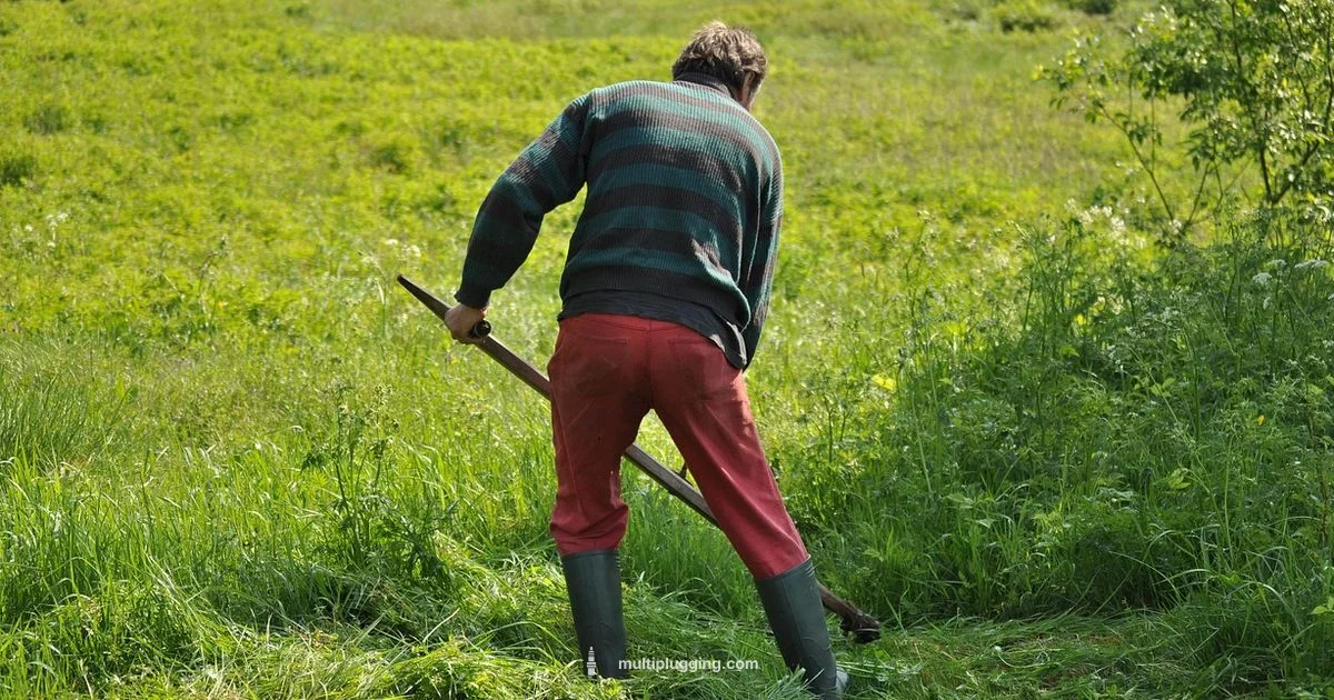 Spark Plug Help - MultiPlugging