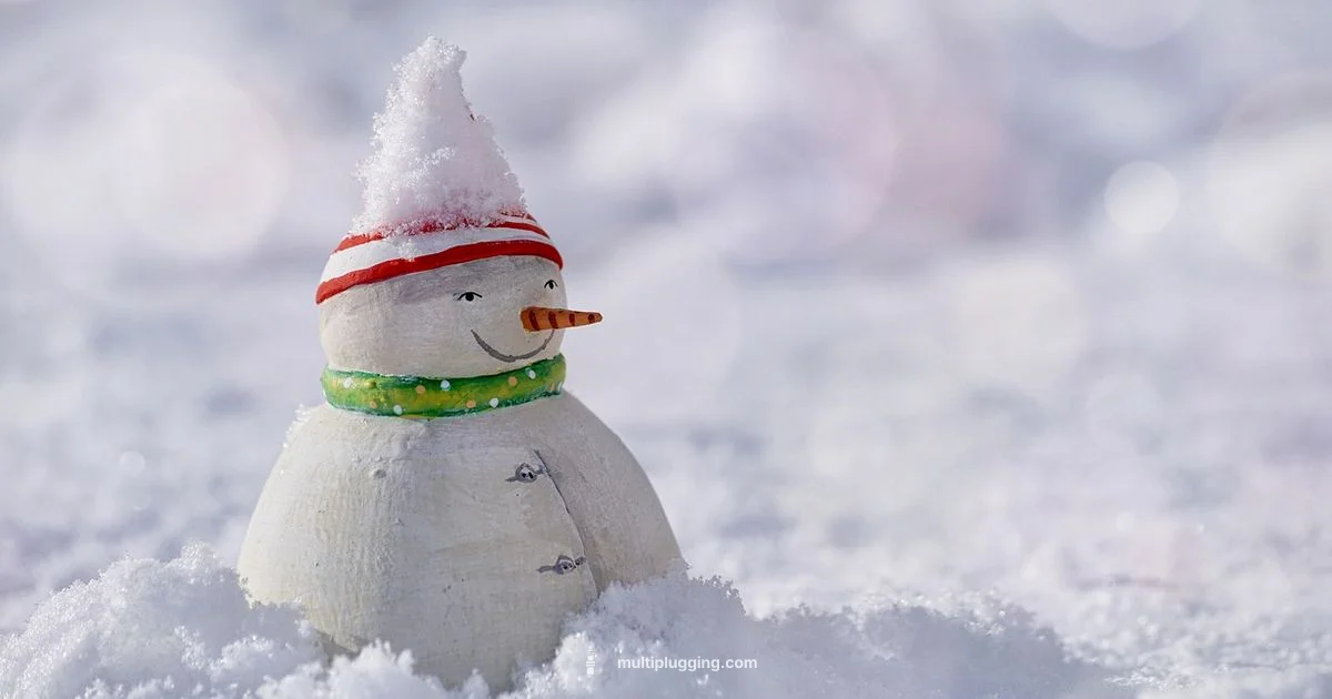 Snowblower Spark Plug Guide Snowblower Spark Plug Guide - MultiPlugging