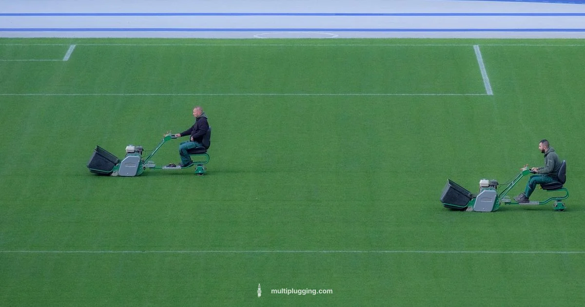 Lawn Plug Buying - MultiPlugging