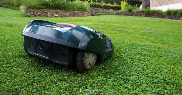 Mower Spark Plug - MultiPlugging