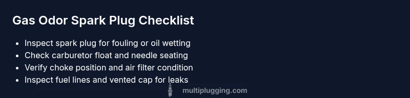 Infographic checklist for diagnosing gas odor at spark plug