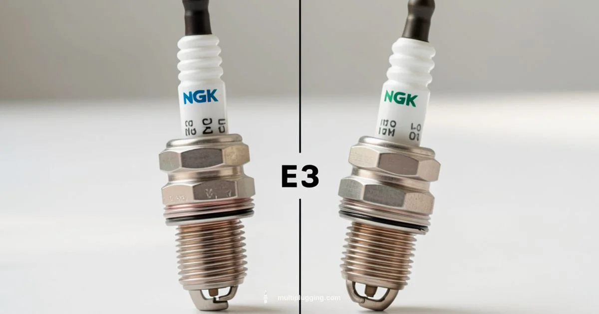 E3 vs NGK - MultiPlugging