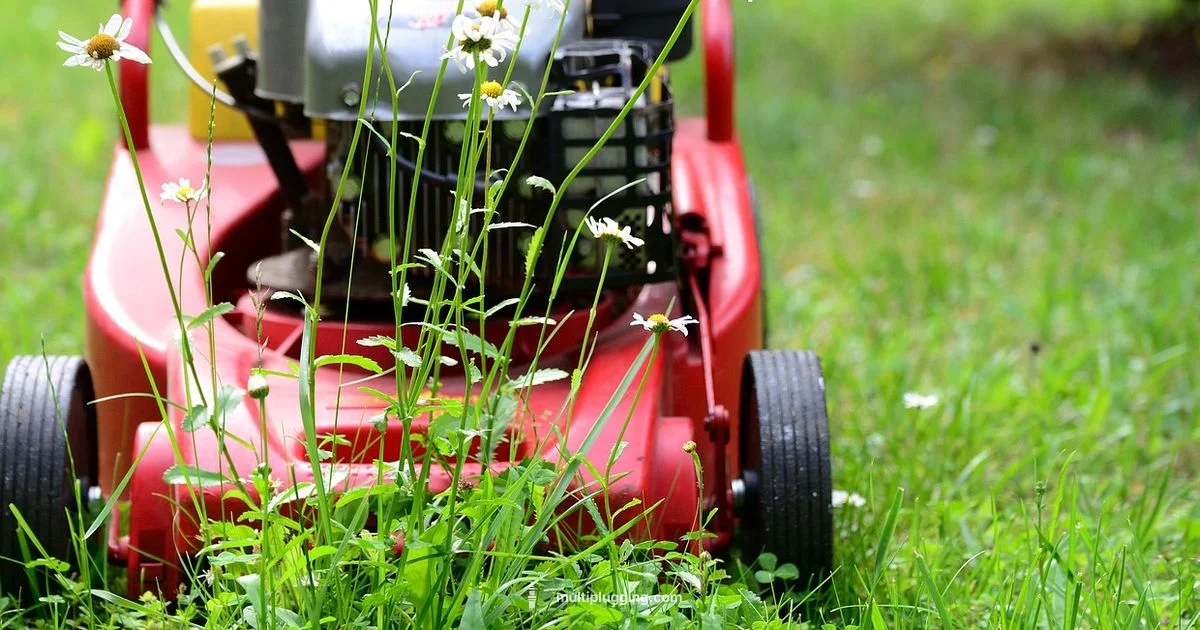 Best Spark Plugs - MultiPlugging