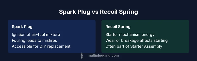 Infographic comparing spark plug and recoil spring