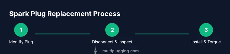 Process diagram showing plug inspection, gap check, and torquing steps