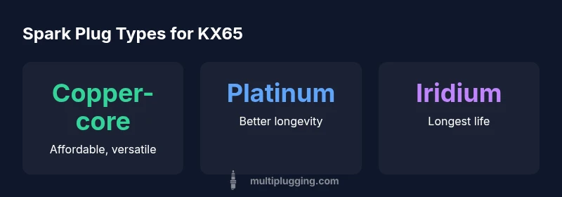 Infographic showing spark plug types for KX65