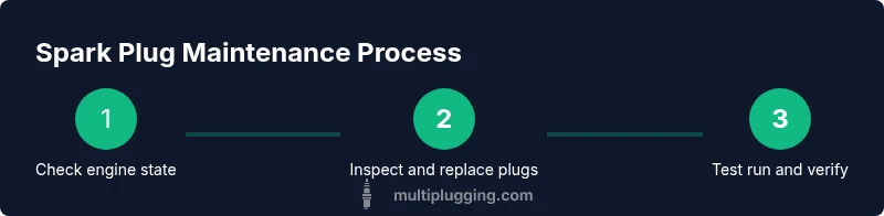 Infographic showing spark plug maintenance steps