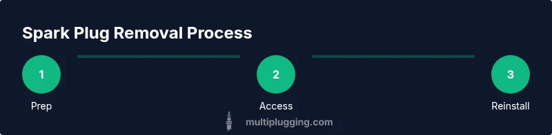 Infographic showing three-step spark plug removal process